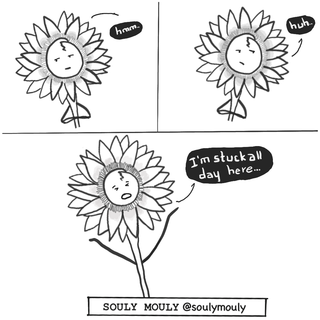 Souly Mouly Illustration